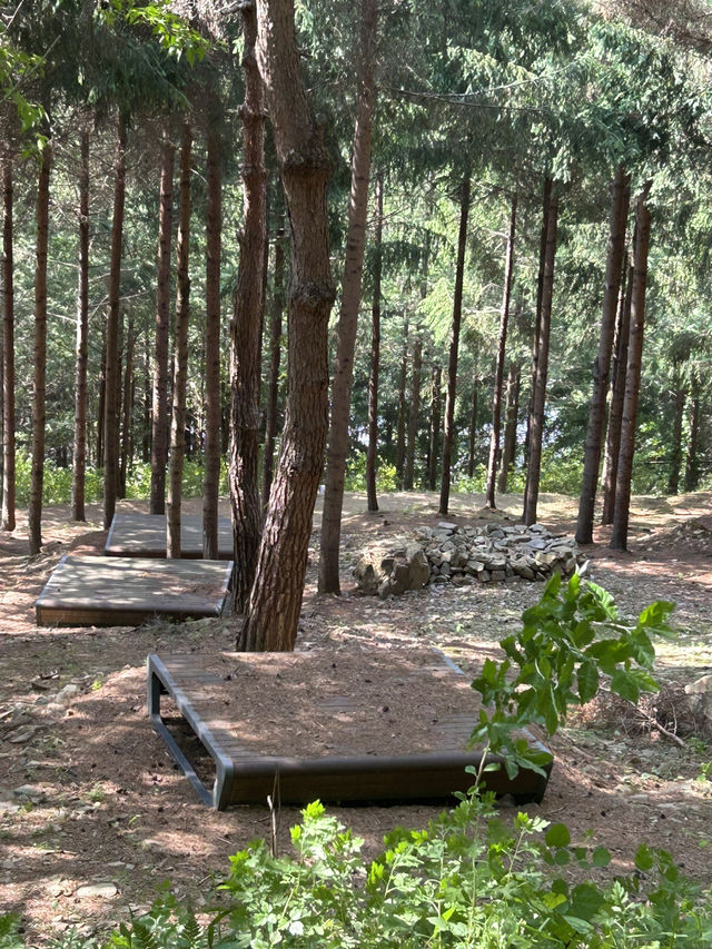 🌳 계절마다 아름다운 자연, 충북 산림환경연구소 (미동산수목원)