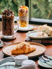  Miracle Coffee 
