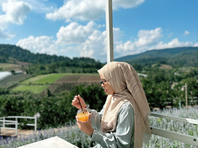 Lost in Lavender at Ying Yong Flower Garden