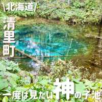 一度は見に行きたい✨️神秘的な青い池