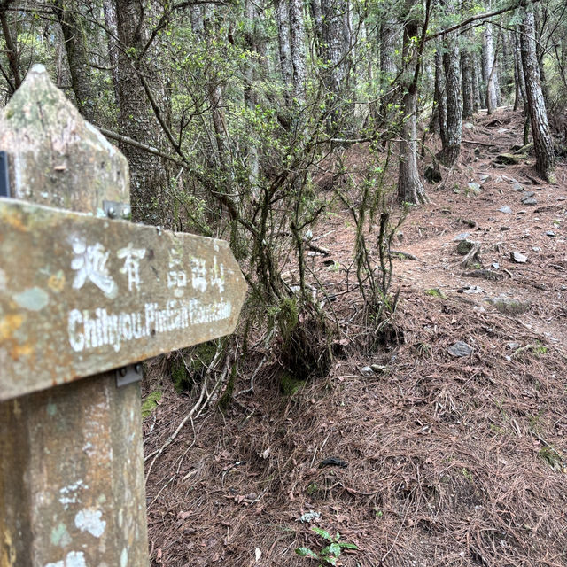 🏔️【獨攀武陵四秀｜三天兩夜自我挑戰紀錄】