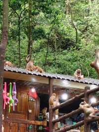DIY Zhangjiajie travel ideas