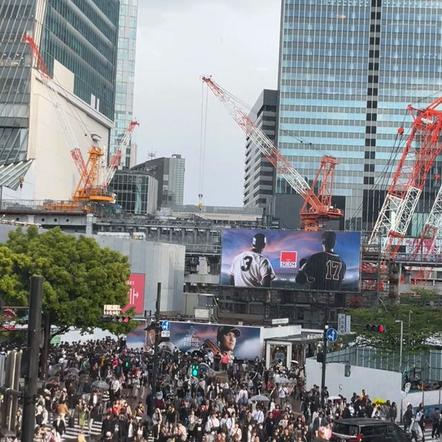 🌧️→☀️ A Quick Stop at Shibuya Scramble Crossing