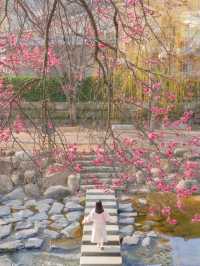 봄이 오는 소리가 들리는 순천 사운즈 옥천🌸❤️