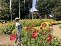 親子で丸1日❣️自然も童話の世界も満喫‼️