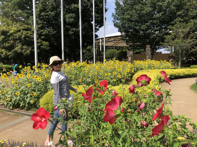 親子で丸1日❣️自然も童話の世界も満喫‼️