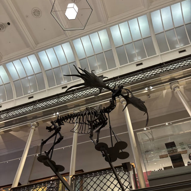 🏛️ Sydney | A Museum Kids Don’t Want to Leave