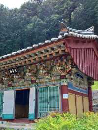 한옥 사찰의 고요한 매력 🌿