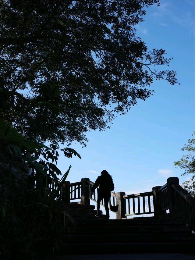 วัดเสวียนจวง (Xuanzang Temple / 玄奘寺)