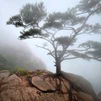 Cheonhwangbong, Outta Breath, In the Clouds, Lovin’ Life
