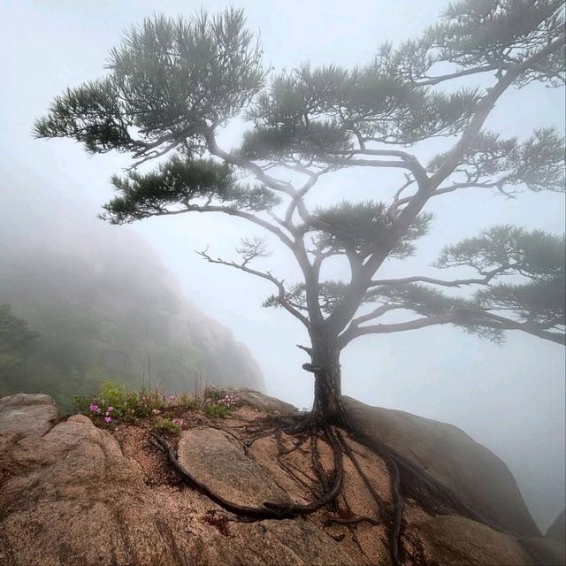 Cheonhwangbong, Outta Breath, In the Clouds, Lovin’ Life