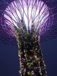 Light And Sound Show ที่ Gardens By The Bay