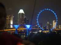 Light And Sound Show ที่ Gardens By The Bay