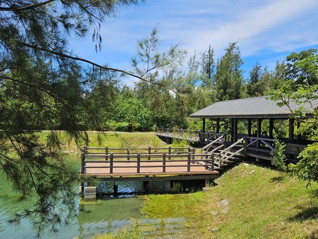 恍如仙境的台東森林公園琵琶湖