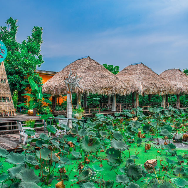 คาเฟ่และร้านอาหาร Vibe ดีริมสระบัวร่มรื่น
