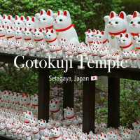 Tokyo's Hidden Gem: The Adorable "Cat Street" I'd Visit Countless Times! 😻🐾