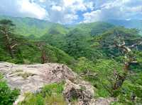 Dutasan: The Mountain That Pretends to Be Chill (But Isn’t)
