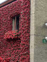 A Stroll Through History & Culture on Duolun Road, Shanghai