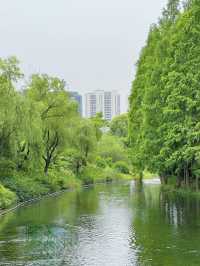 A Community Sports & Nature Hub – Minhang Sports Park, Shanghai