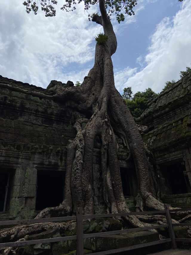【世界遺産】アンコールワットは史上最高の廃墟🇰🇭