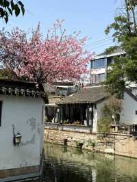 蘇州｜平江路 特色店家