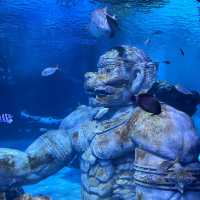 Aquarium Phuket 