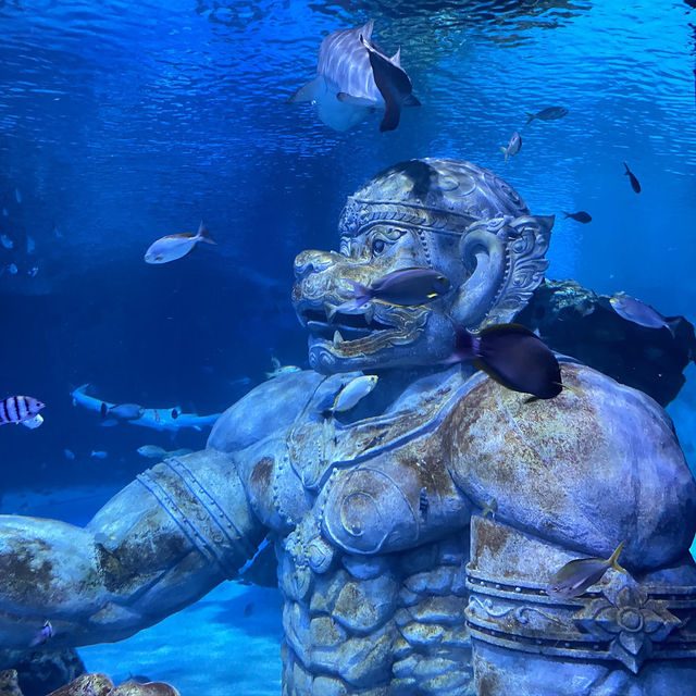 Aquarium Phuket 