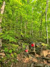 해외여행 삿포로 등산 Mount Moiwa Hiking Walking trail 
