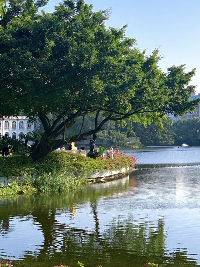 Liuhua Lake Park (流花湖公园) – Guangzhou’s Historic Urban Haven 