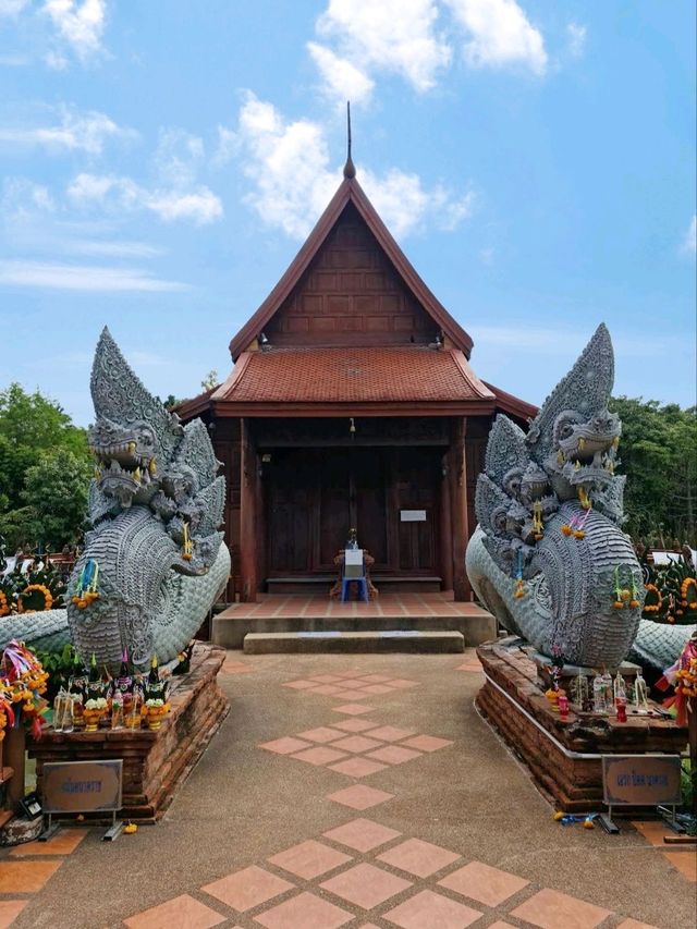 🙏 : วัดป่าคลอง 11 ไหว้พระปทุมธานี