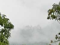 雲の海に包まれる朝。ここはタイの秘境、パノントゥン。」