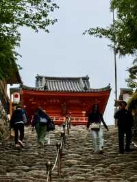 松山｜日本三大八幡造建築 伊佐爾波神社的「必中」傳說