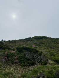 제주도의 여름