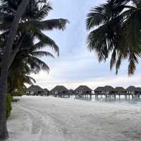 มัลดีฟส์ | Maldives