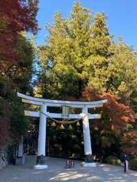 山と神秘に包まれる「宝登山神社」で、心澄む長瀞旅
