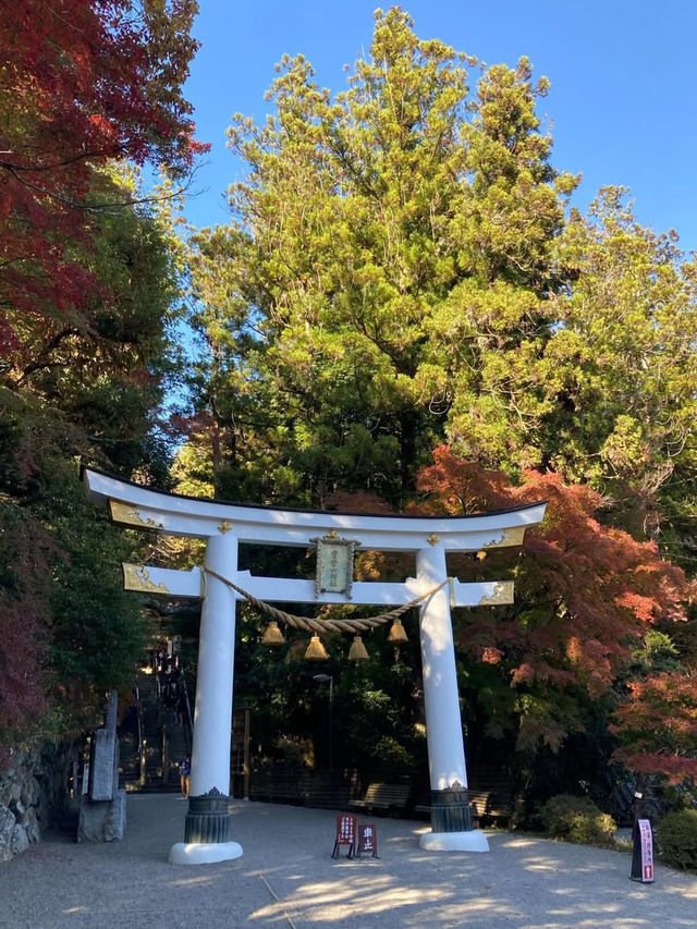 山と神秘に包まれる「宝登山神社」で、心澄む長瀞旅