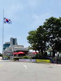 한국 추천 투어 명소 오두산 전망대