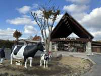 Family Fun and Fresh Milk at Rakunoh Mother’s Aso Milk Bokujo