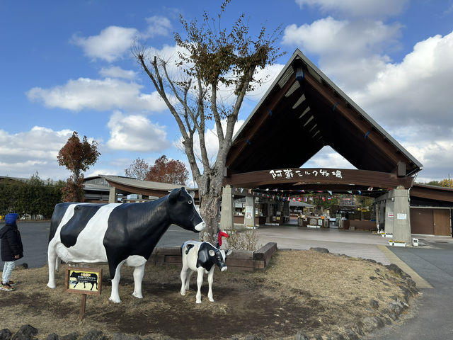 Family Fun and Fresh Milk at Rakunoh Mother’s Aso Milk Bokujo