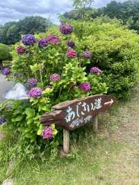 サクッと楽しめる能古島