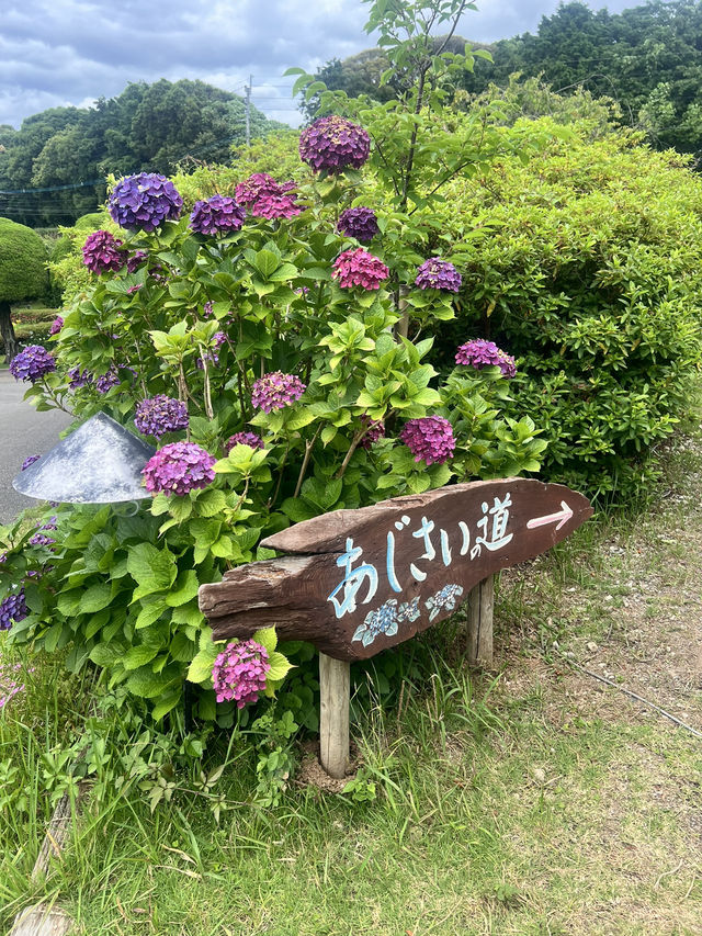 サクッと楽しめる能古島