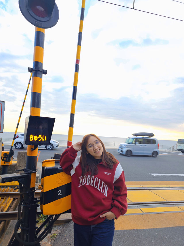 ✨Sweet Escape from Tokyo City Lights — Kamakura Day Out