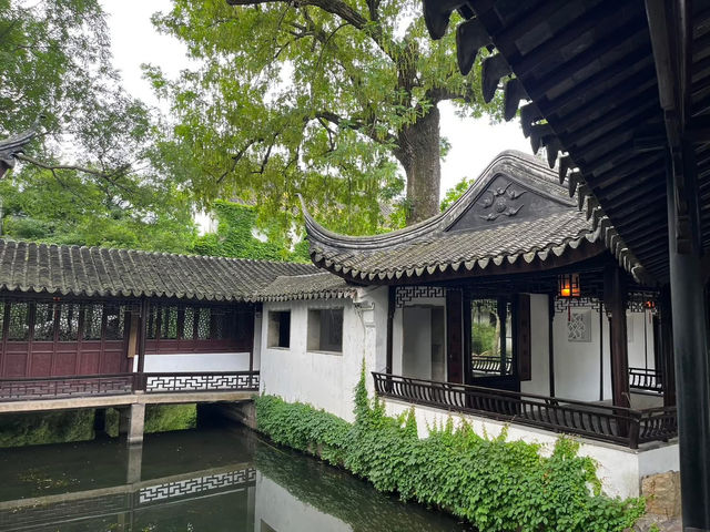 🌿 Humble Administrator’s Garden 拙政园 — A Classical Suzhou Gem