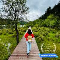 Find tranquility trekking through nature’s beauty