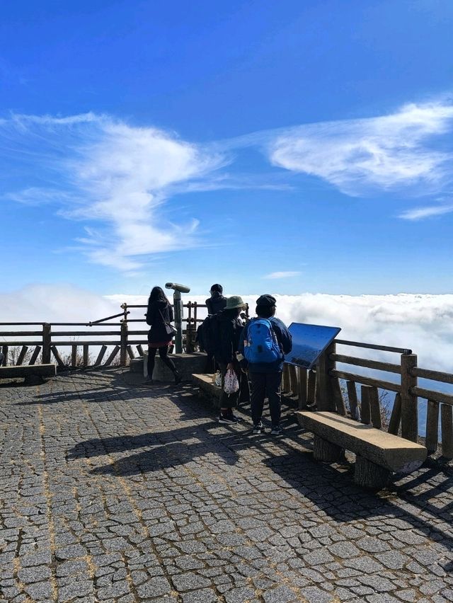 Beppu ropeway ⛰️🍁