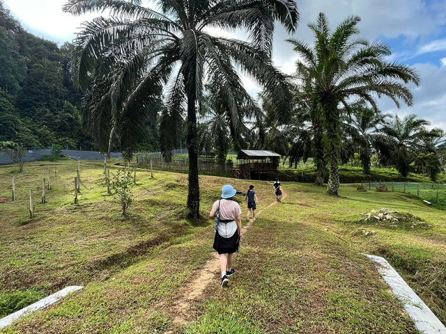 🌱 Talula Hill Farm Resort – A Refreshing Farm‑Stay Escape in Kluang