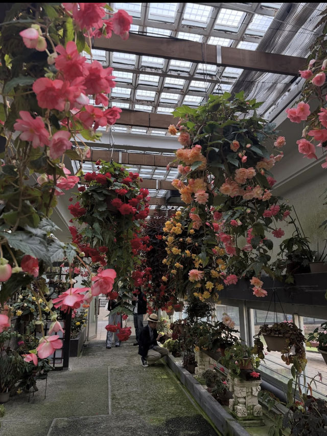 【緑と命にふれる旅🌿】福岡市動植物園でのんびり癒し時間