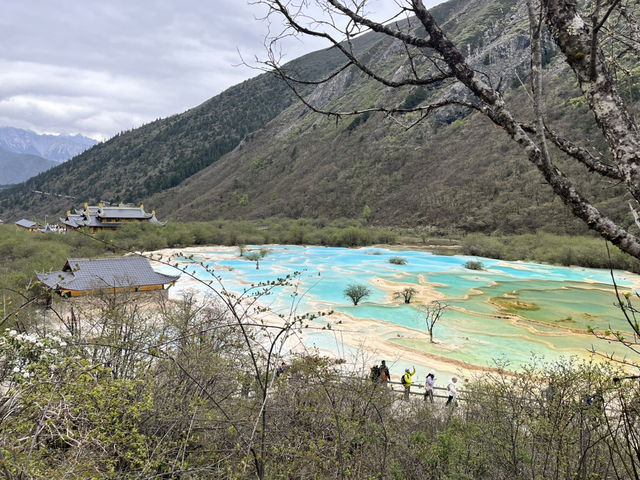 🏞️Epic Nature Combo: Huanglong + Jiuzhaigou Summer Adventure