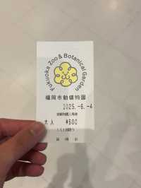 【緑と命にふれる旅🌿】福岡市動植物園でのんびり癒し時間