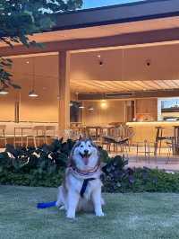 🌿 Horme Café – คาเฟ่โทนอุ่น ที่น่าไป 💗🌷